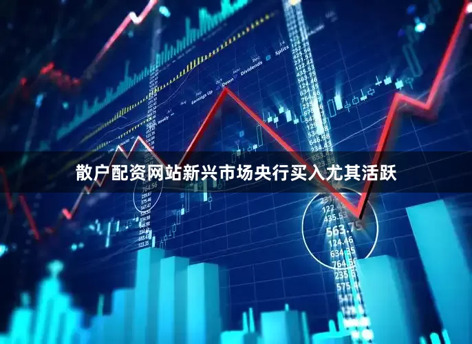 散户配资网站新兴市场央行买入尤其活跃